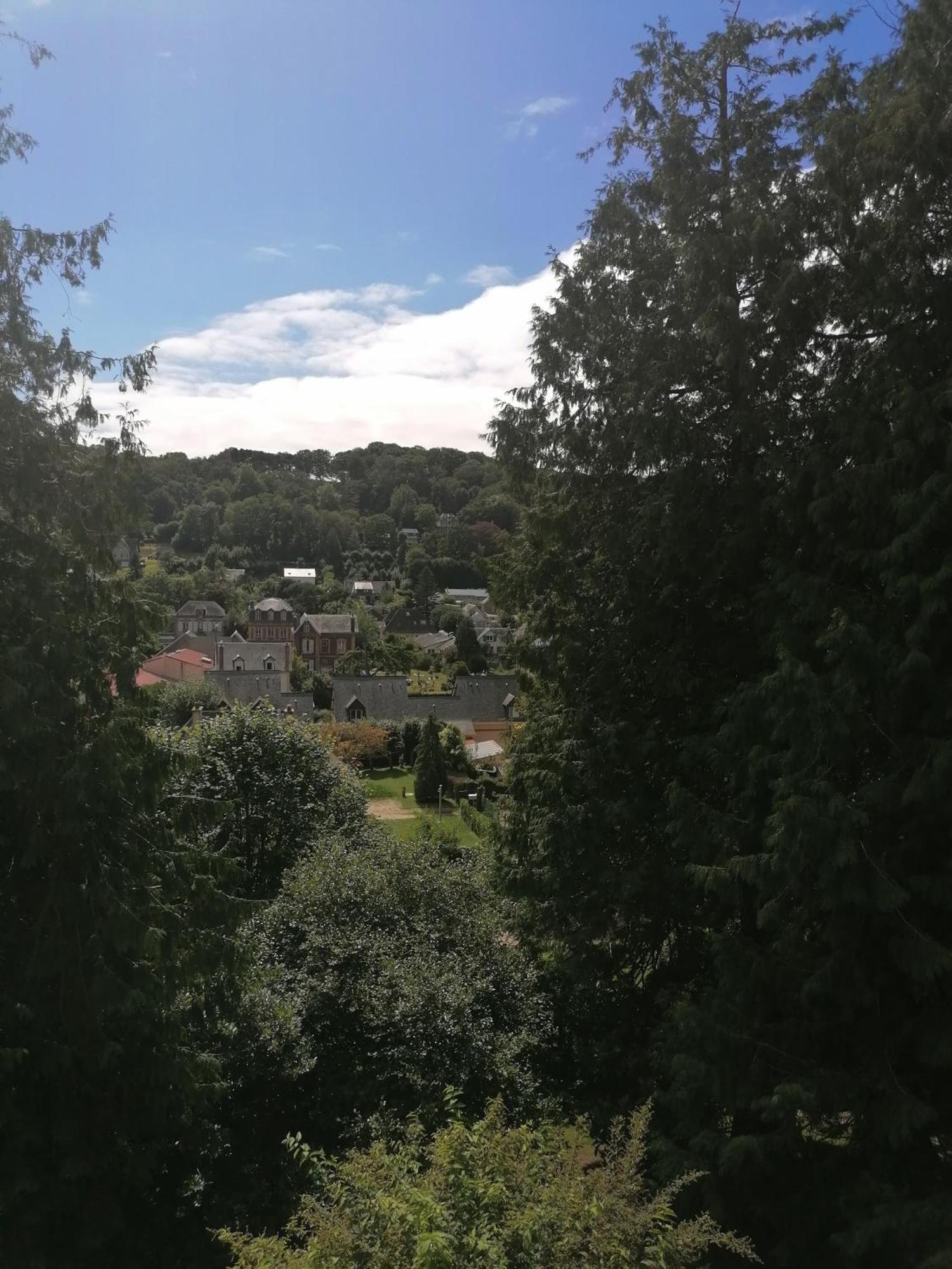 Villa Eliane - Parking Prive Этрета Экстерьер фото